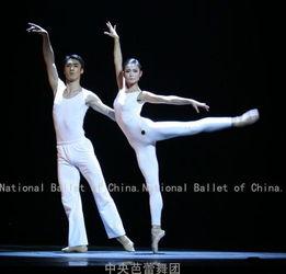 男芭蕾舞演员的解剖图,力量与柔美的完美融合