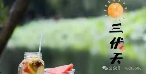 三伏天,盛夏酷暑的养生攻略与避暑秘籍